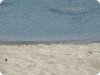 Αμμουδιά στην παραλία της Πλατάνας