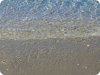 Η αμμουδιά στην παραλία Μαγαζιά,Σκύρος