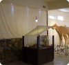 Μουσείο Απολιθωμένων Θηλαστικών Κερασιάς, Βόρεια Εύβοια